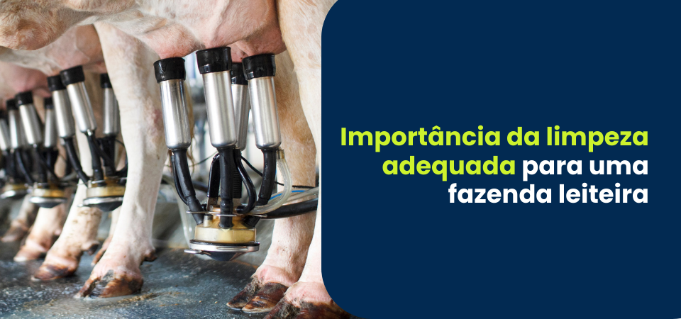 Importância da limpeza para uma fazenda leiteira